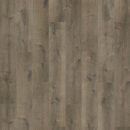Oyster Oak