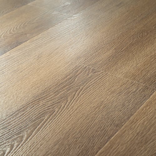 Cartwheel Oak