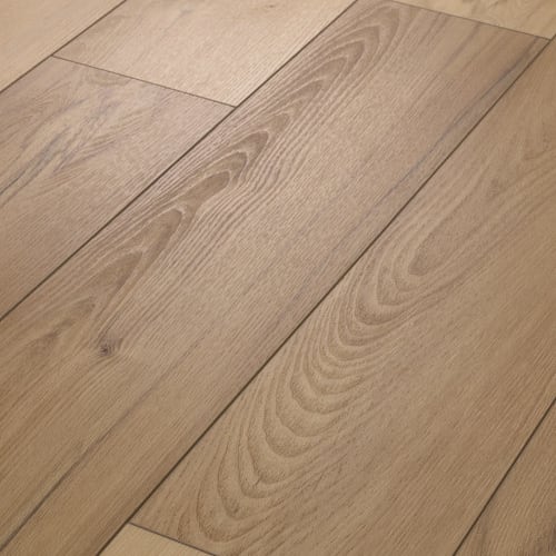 Imperial Beech