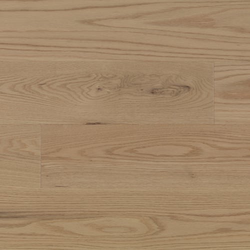 Bliss 8.125 - Red Oak