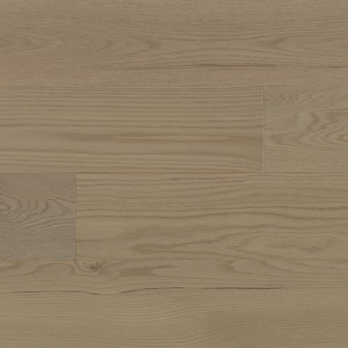 Halo 5 - Red Oak