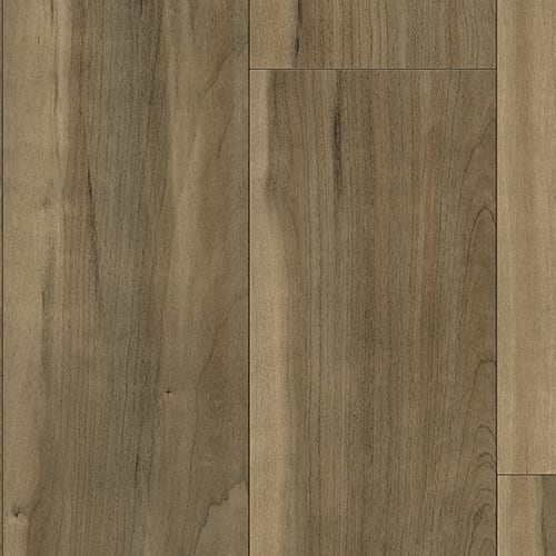 Monroe Chestnut
