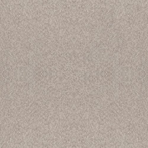 Alluring Canvas by Shaw Industries - Baltic Stone