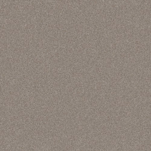All Over IT I by Shaw Floors Retail - London Fog