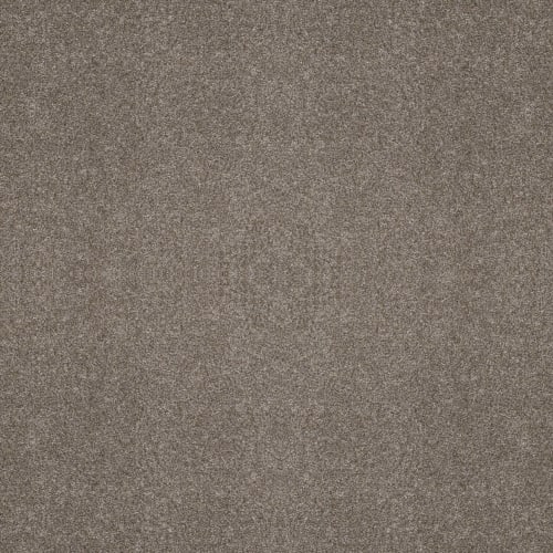 All Over IT I by Shaw Floors Retail - Clay