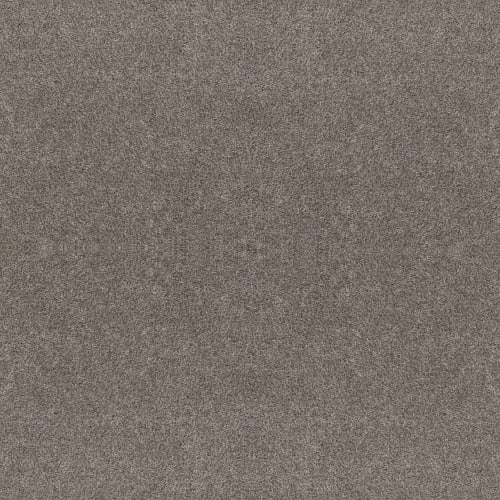 All Over IT I by Shaw Floors Retail - Weathered