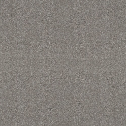 All Over IT II by Shaw Floors Retail - Stone Path