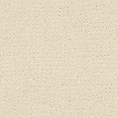 Alluring Disposition by Shaw Industries - Ivory Paper