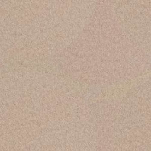 Backdrop II 6 by Shaw Industries - Natural Finish