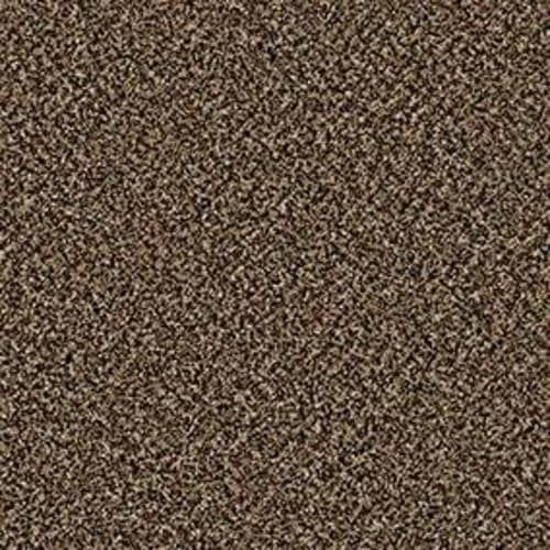 Raw Sienna