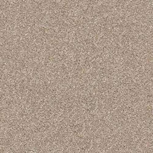 Sahara