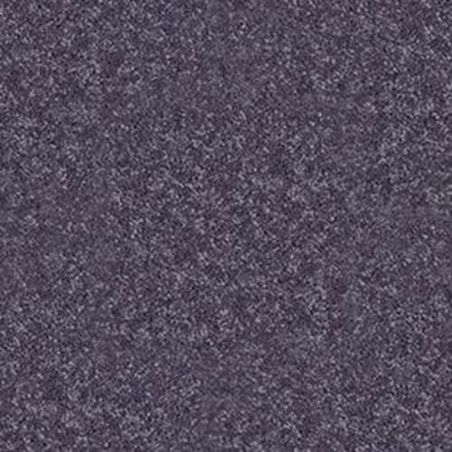 Violet Crush