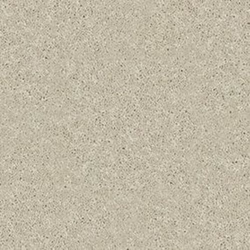 Dyersburg Classic 12' by Shaw Industries - Casual Cream