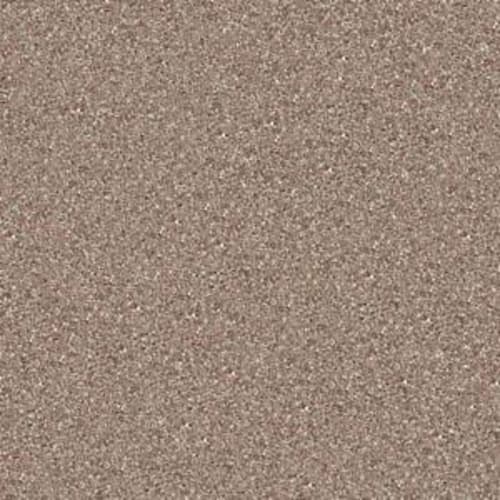 San Rafael by Shaw Industries - Taupe Mist