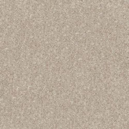 Plaster