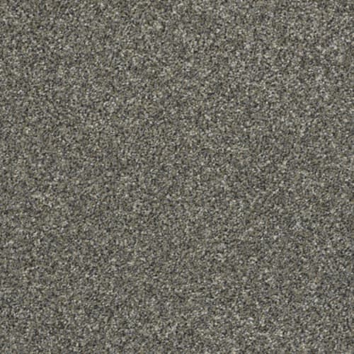 All Over IT I by Shaw Floors Retail - Granite Dust