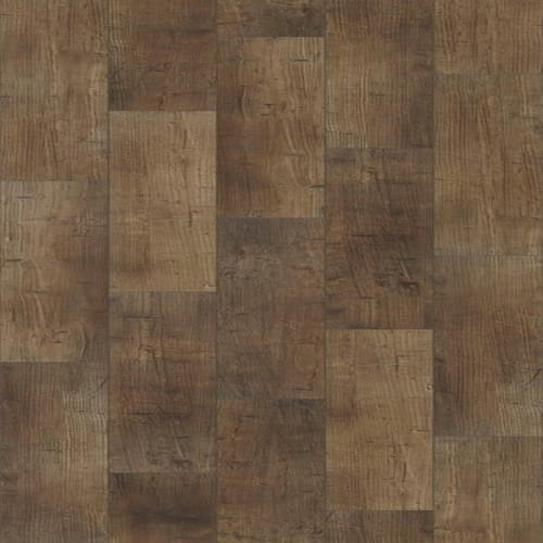 Cambria Plus by Shaw Industries - Tactile Pine