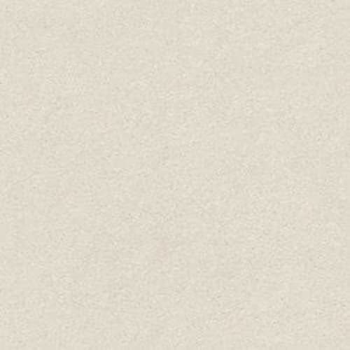Painter's Canvas