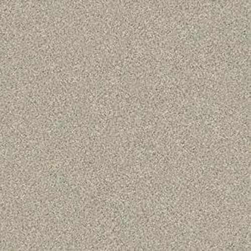 Montage I by Shaw Floors Retail - Spun Wool