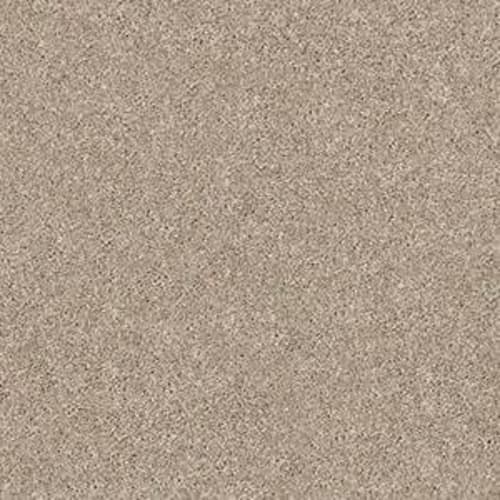 Momentum II by Shaw Industries - High Beam