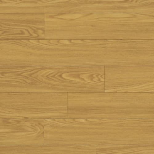 Rocky Mountain Oak