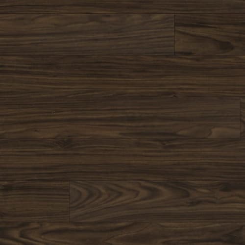 Black Walnut