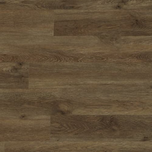 Clear Lake Oak