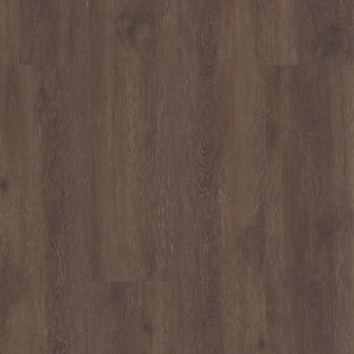 Shasta Oak