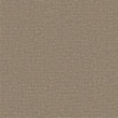 Cooper in Porous Stone - Carpet by Shaw Flooring