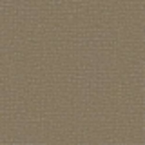 Cooper in Greige - Carpet by Shaw Flooring