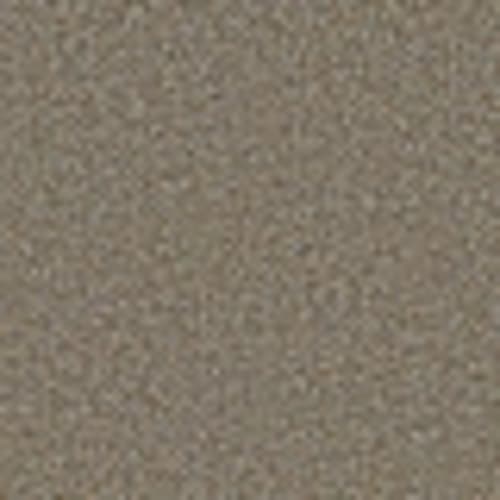 Blending Upwards in Fog - Carpet by Shaw Flooring