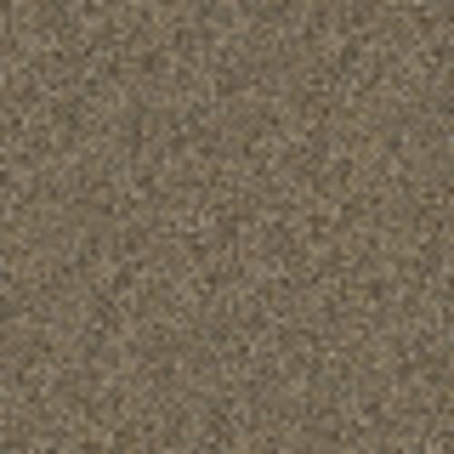 Blending Upwards in Vintage Brass - Carpet by Shaw Flooring