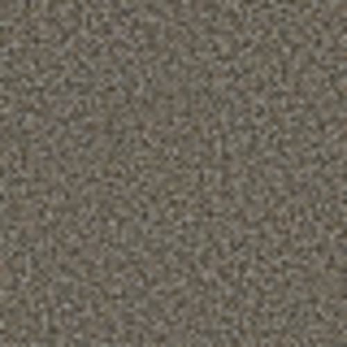 Blending Upwards in Griffin - Carpet by Shaw Flooring