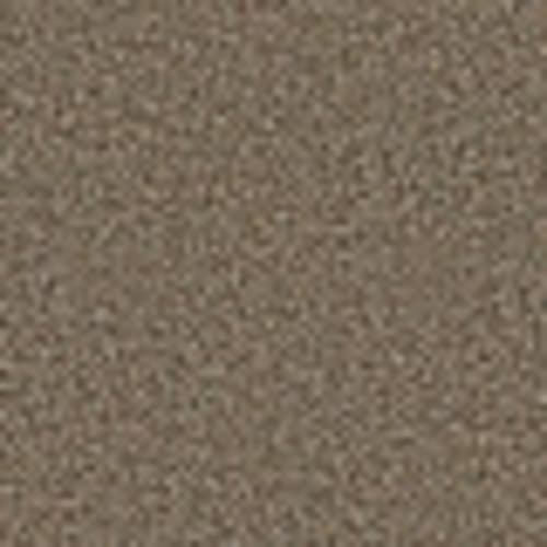 Blending Upwards in Quarry - Carpet by Shaw Flooring