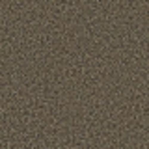 Blending Upwards in Tree Swing - Carpet by Shaw Flooring