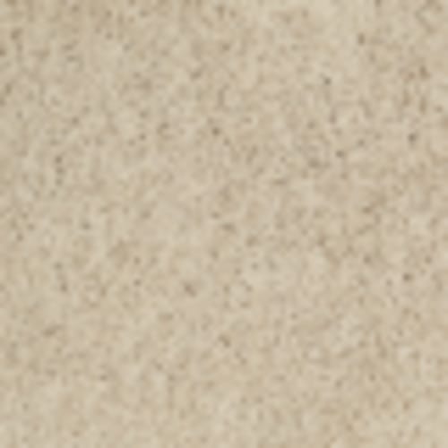 Wooly Bully in Limestone - Carpet by Shaw Flooring