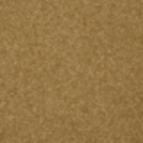 Endless Love 12 in Mello Yello - Carpet by Shaw Flooring