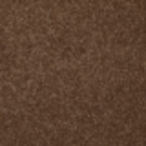 Endless Love 12 in Milk Chocolate - Carpet by Shaw Flooring
