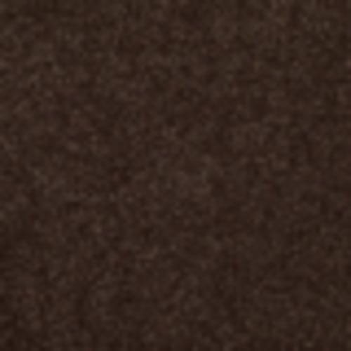 Endless Love 12 in Earthen - Carpet by Shaw Flooring
