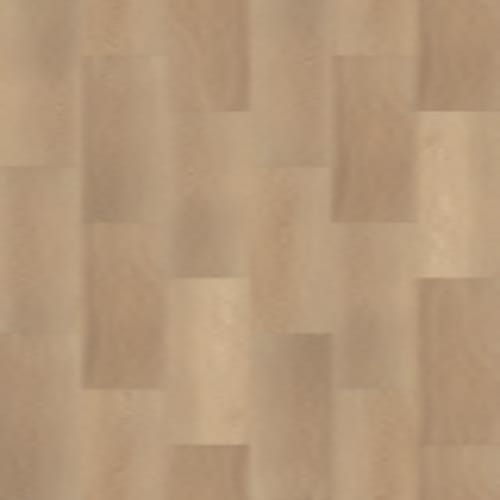 Endura Plus in Castaway - Vinyl by Shaw Flooring