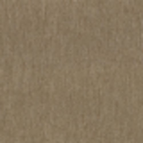 Chapel Ridge in Transit - Carpet by Shaw Flooring
