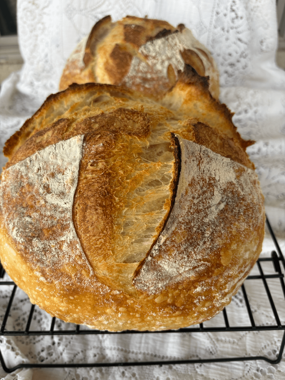 Classic Sourdough