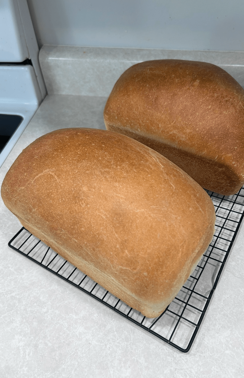 Sandwich loaf (sourdough discard loaf)