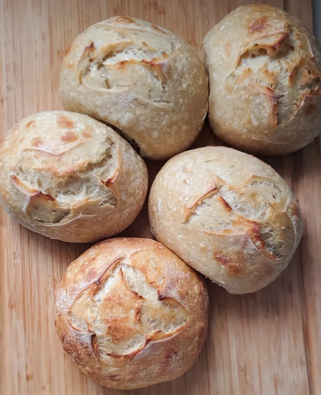 Sourdough Bread Bowls (5 count)