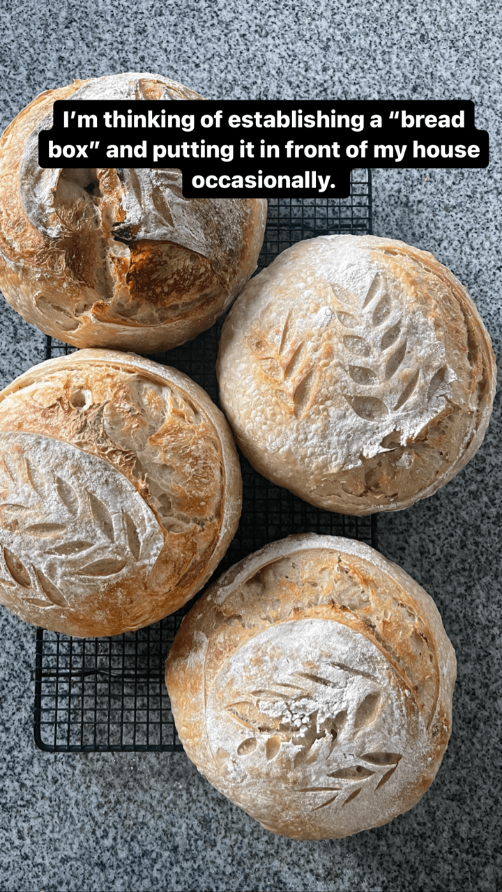Sourdough Bread