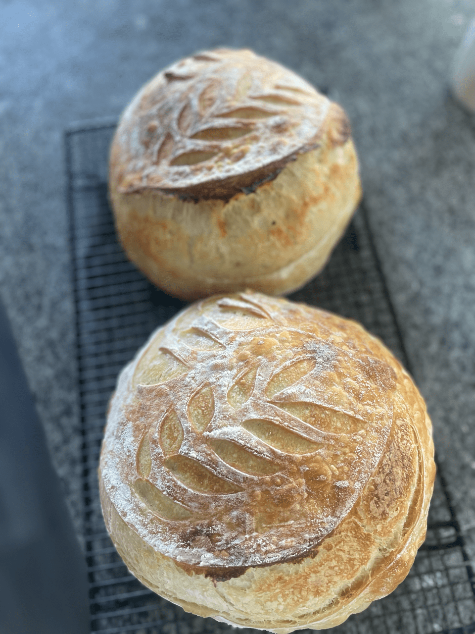 Two loaves of sourdough bread