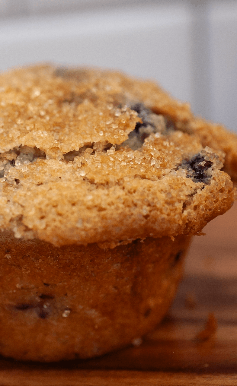 Blueberry Jumbo Muffin