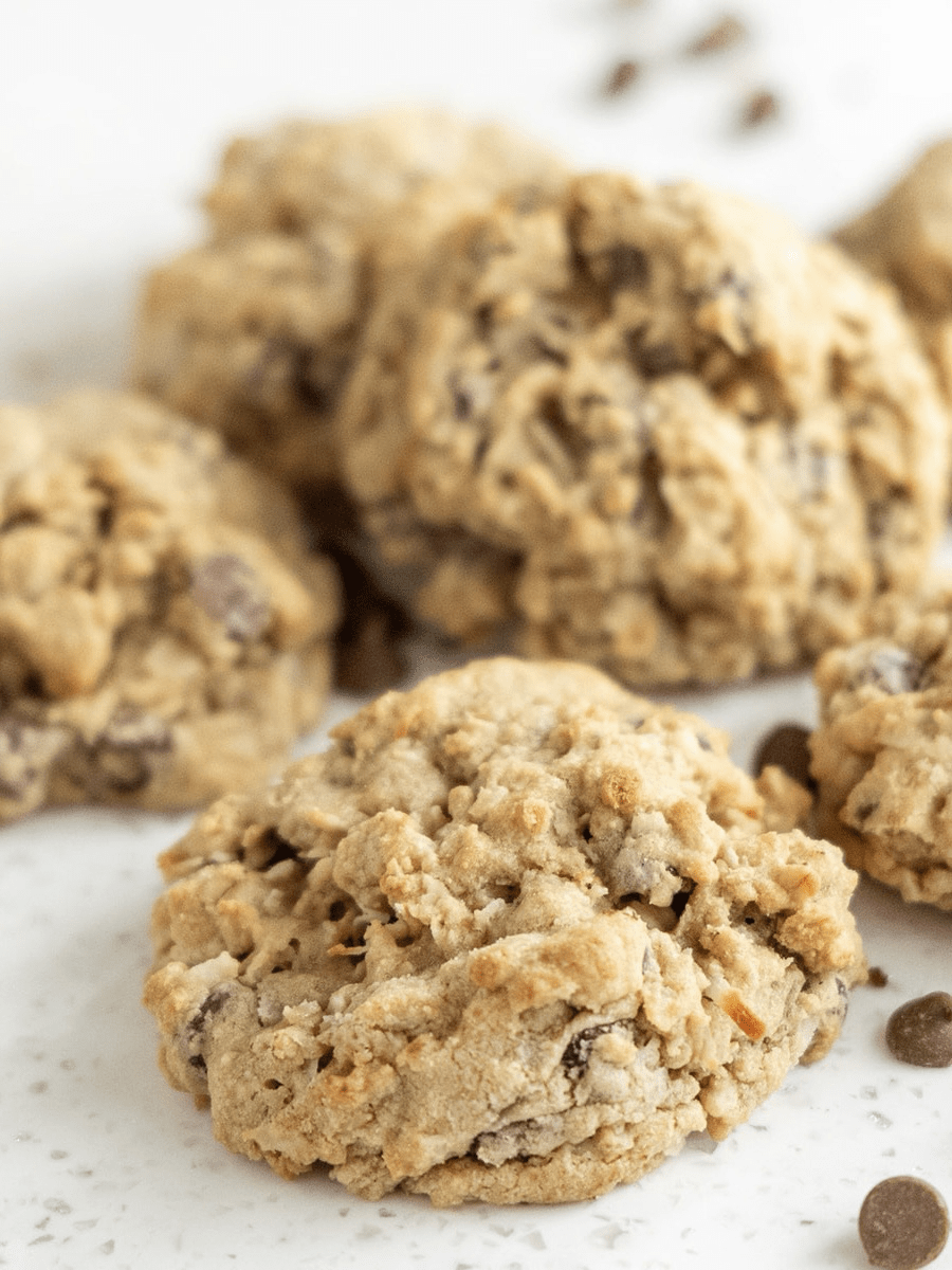 Coconut Oatmeal Chocolate Chip (4 oz), 6 count