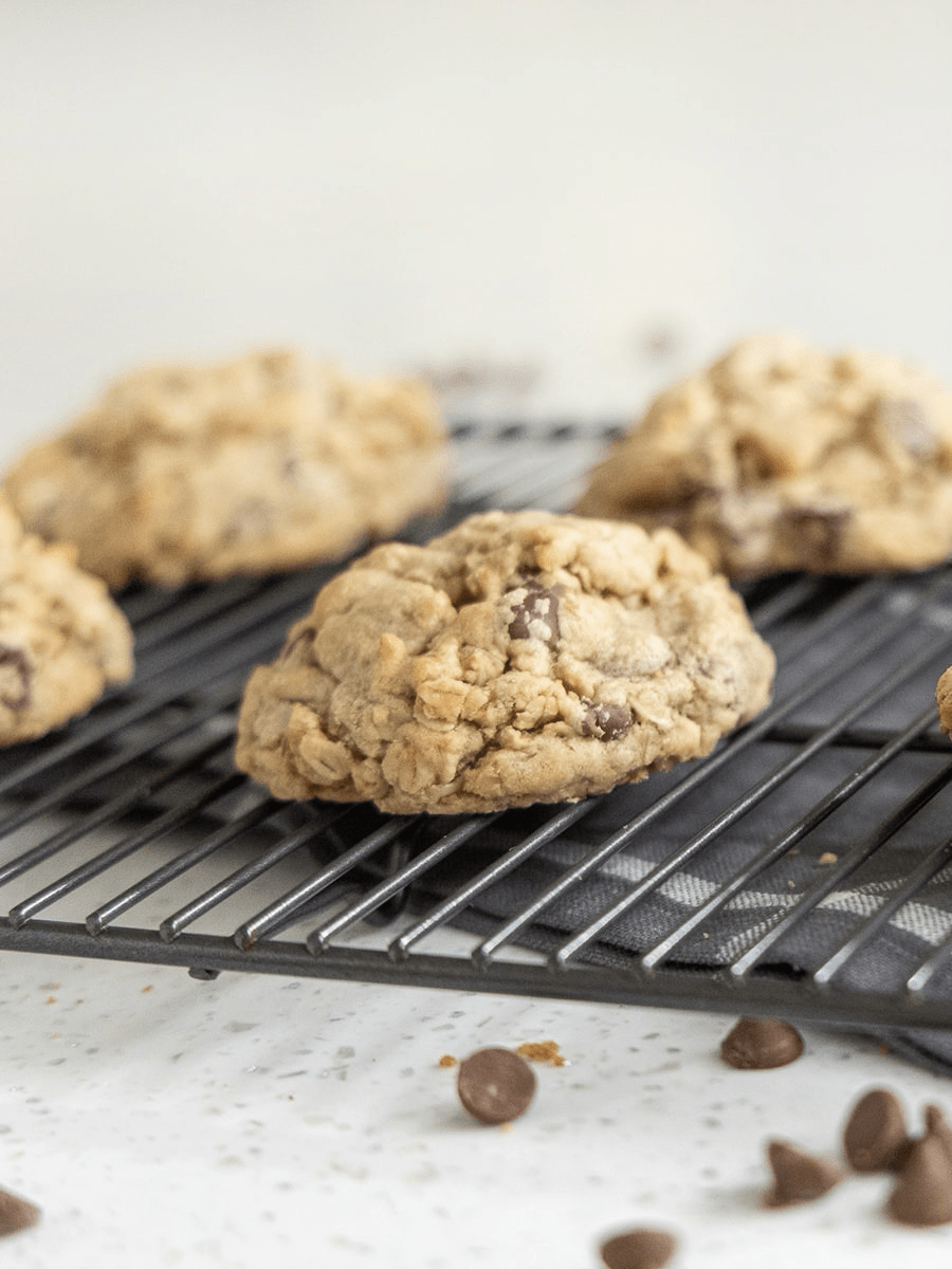 Toffee Oatmeal Chocolate Chip (4 oz), 6 count