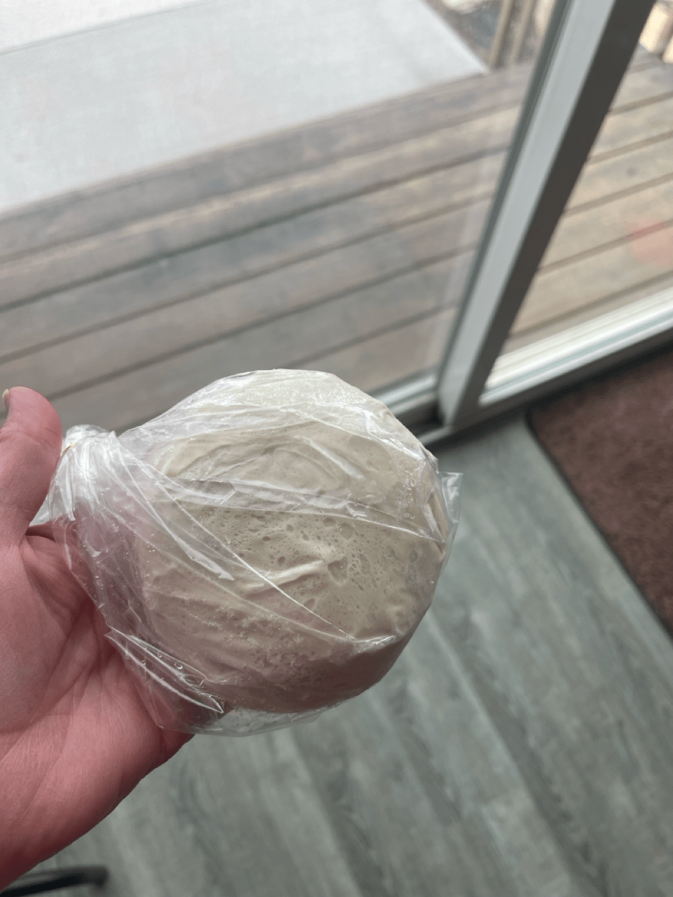 Sourdough Pizza Dough